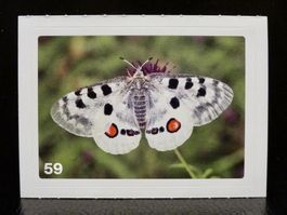 MIGROS MANIA Nature Detectives Nr. 59