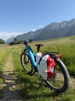 FLYER CoroC 2 E-Bike Gr. M –| Motor neu 08.2026