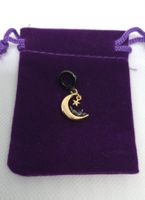 Silber Charm Mond und Katze +Garantie