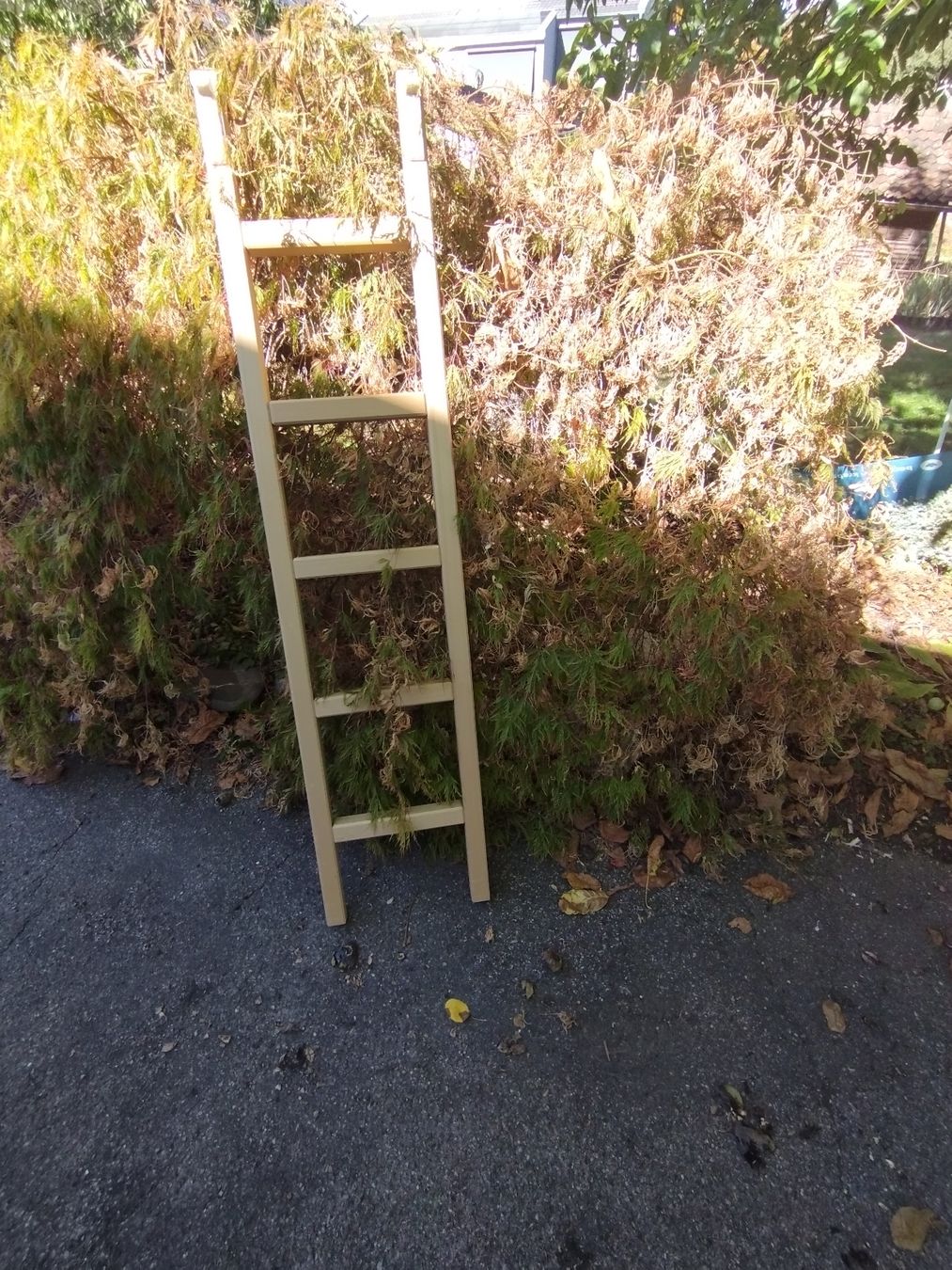 Scale: Leiter aus Holz – Usato da Ostermundigen venduto da Dinge1 2
