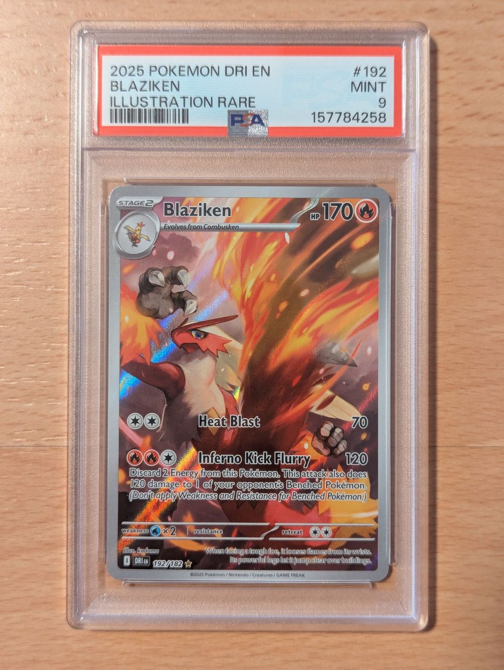 Pokémon Carte collezionabili: Pokemon Blaziken Illustration Rare PSA 9 Mint – Nuovo (secondo la descrizione) da Biel/Bienne venduto da Soupape50