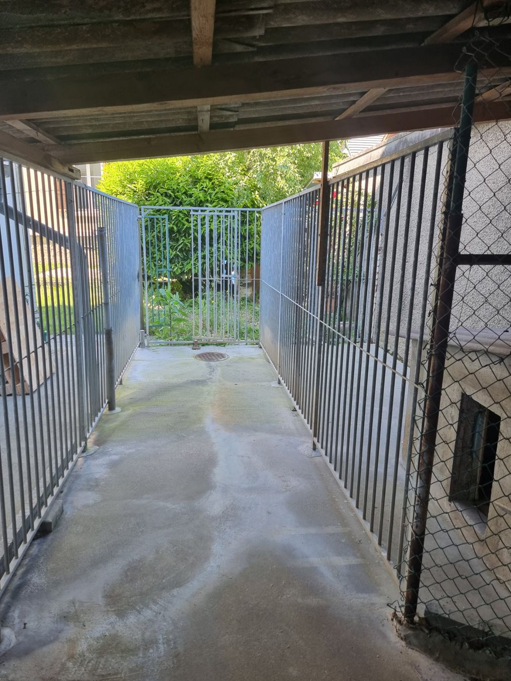 Gabbie, trasporto & Sicurezza: Chenil - barrière en fer extérieur à vendre – Usato da Neuchâtel venduto da cle_j6qj 5