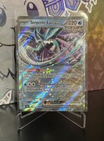 Pokémon Serpente-Eau ex - Rare et puissante !