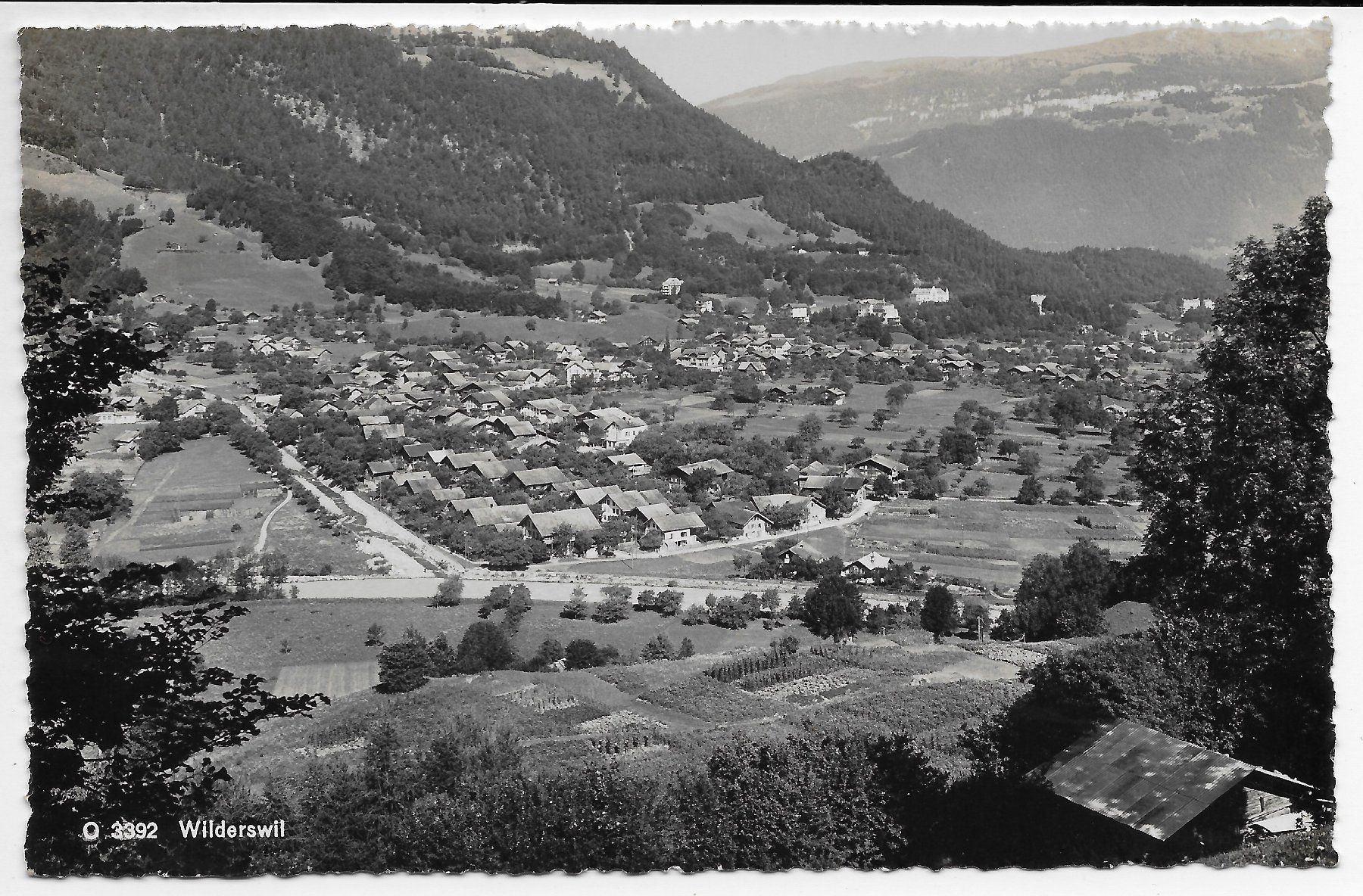 Cartoline postali: Ansicht von Wilderswil – Usato da Hefenhofen venduto da Richsalz