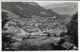 Ansicht von Wilderswil