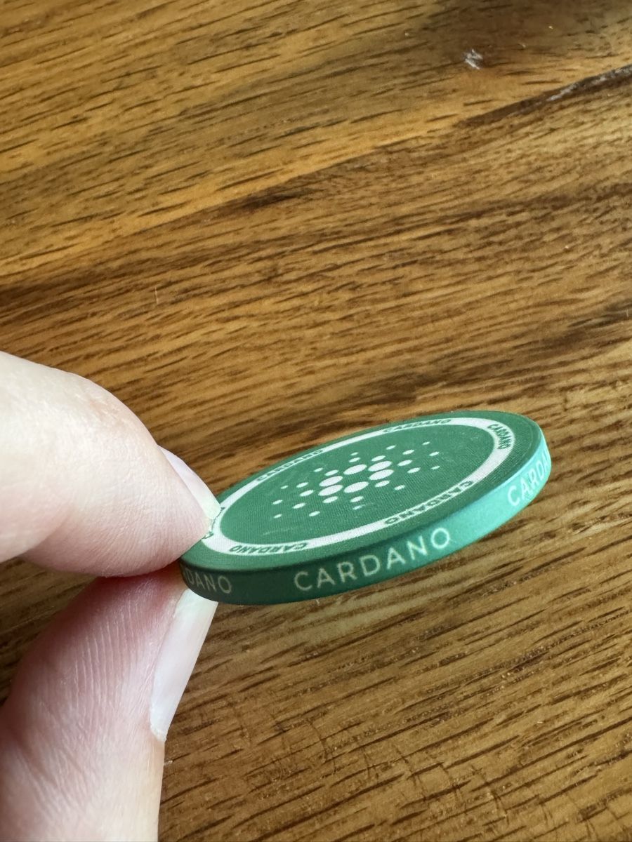 Giochi: Cardano Poker Chip - Green – Nuovo (secondo la descrizione) da Cham venduto da K-Zone 2