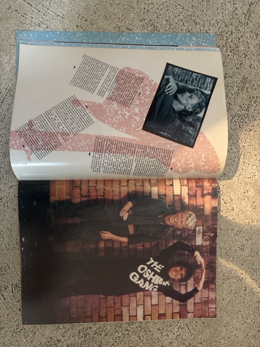 Libri: Programme officiel David Bowie Serious Moonlight Tour 1983 – Nuovo (secondo la descrizione) da Vernier venduto da Judge63 3