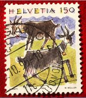 CH Briefmarken Stempel   