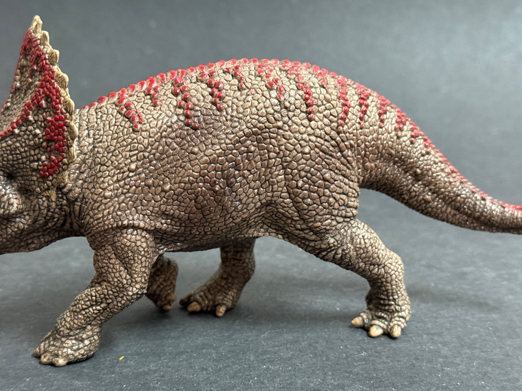 Schleich Statuette: Schleich Triceratops Dinosaurier Dino – Usato da Ennetbaden venduto da mapa05 3