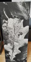 Grosses Wandbild Herbstblatt Schwarz Weiss Top Zustand!