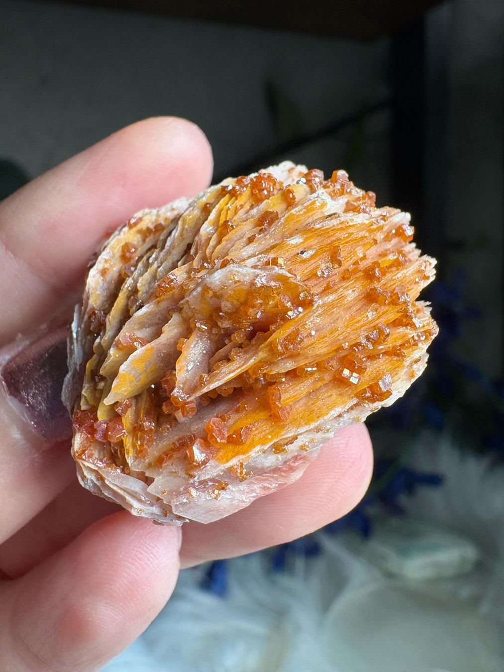 Mineralien & Heilsteine: Vanadinit auf Baryt – Neu (gemäss Beschreibung) aus Neuheim von m.hald 3
