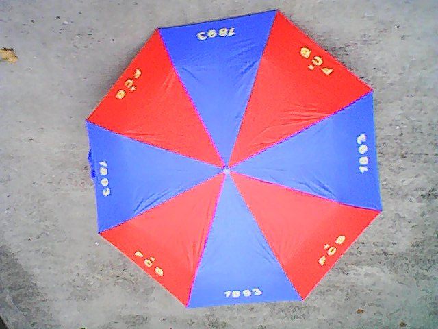 Ombrelli: FC Basel Schirm/Parapluie – Usato da Rümlang venduto da Vuvuzella