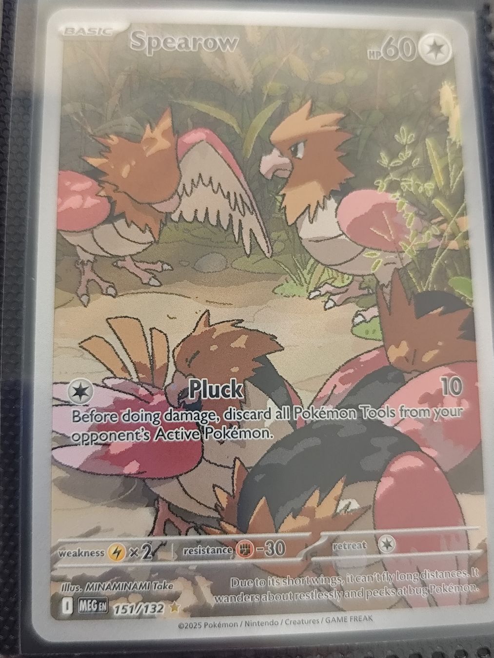 Pokémon Carte collezionabili: Pokemon angefangenes Mega Evolution Set EN – Nuovo (secondo la descrizione) da Schlossrued venduto da LAP2012 7
