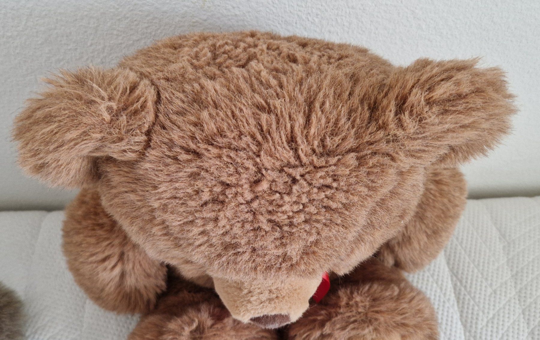 Giocattoli: Süsser Teddybär sucht neues Zuhause – Usato da Unterengstringen venduto da Sina06 3