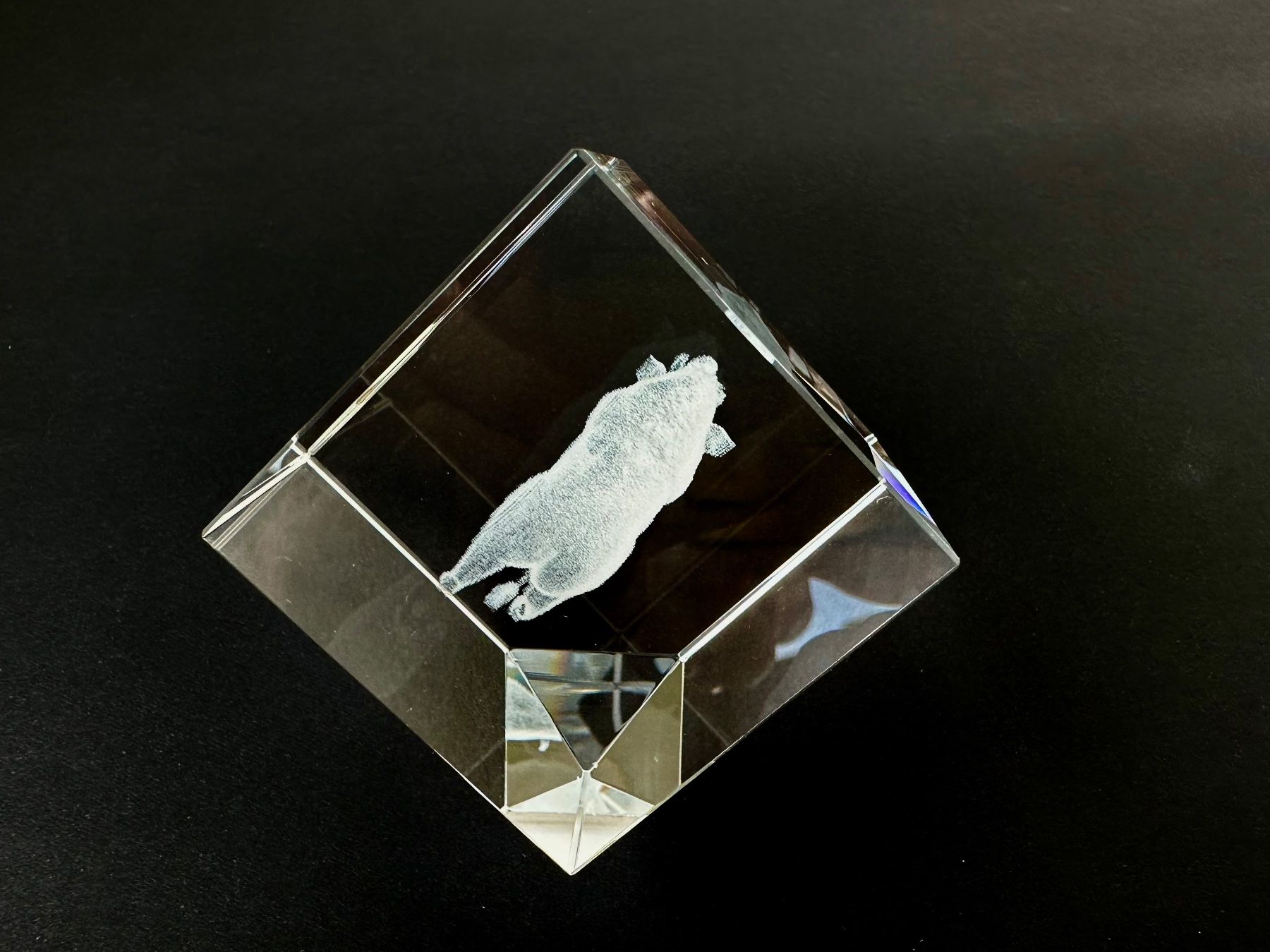 Tutte le decorazioni: 3D Laser Art Kristall Wildschwein – Nuovo e nell'imballaggio originale da Steinen venduto da SputnikSweetheart 3