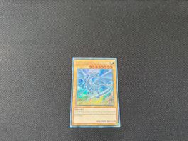 Blauäugiger W.Drache MVP1-DES55