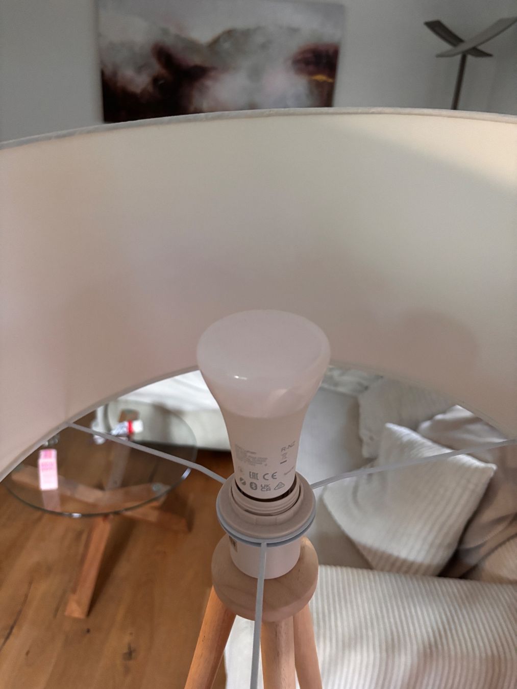 Lampes: Lampe mit Philips Hue 1600 – D'occasion à Portalban par Jornsbeatrice 1