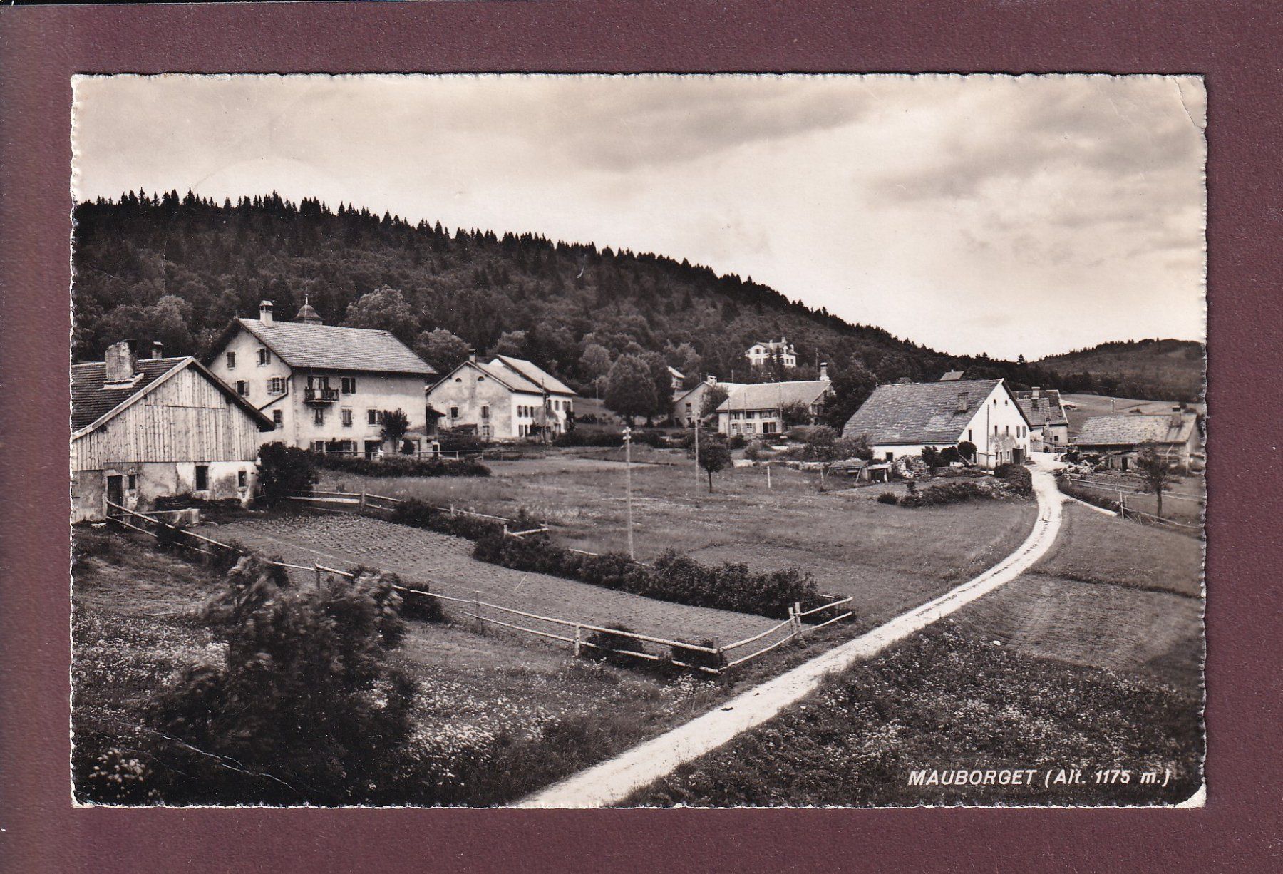 Ansichtskarten: MAUBORGET - Vue partielle // pli d'angle // – Gebraucht aus Pully von nicecards