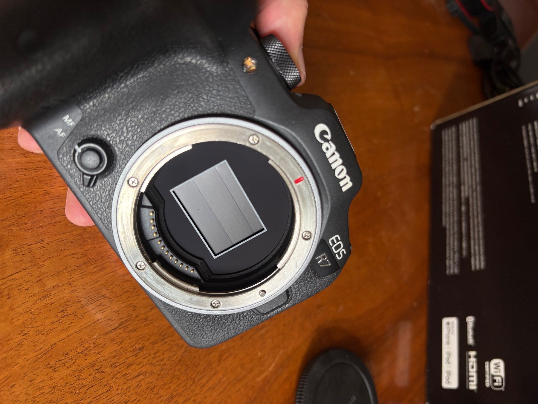 Canon Fotocamera: Canon EOS R7 Kamera Body – Usato da Biel/Bienne venduto da Benjamin_Earnhart 5