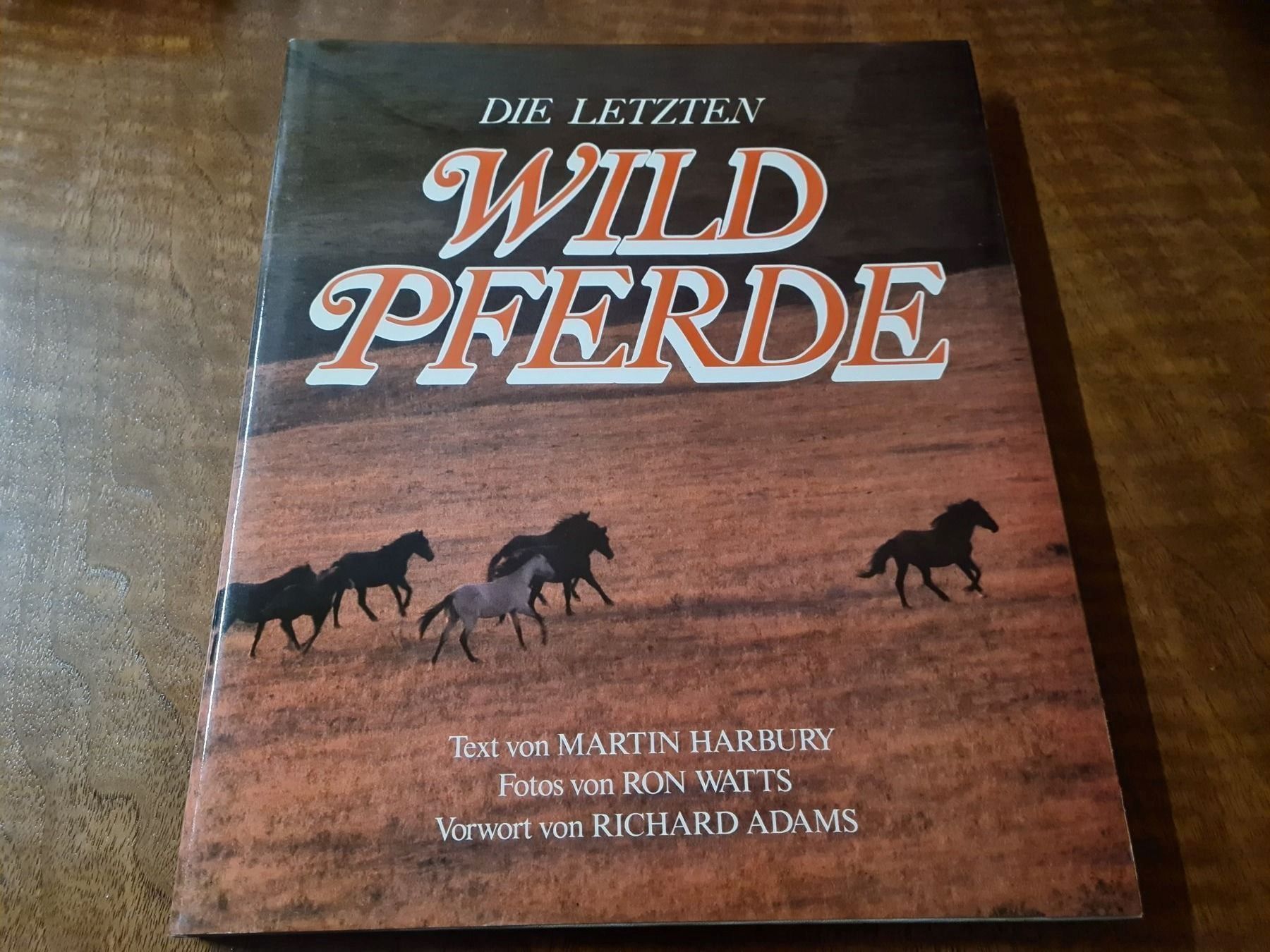 Libri: Die letzten Wildpferde – Usato da Erstfeld venduto da Mario_boe0