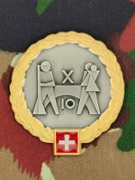 Béretemblem Territorialbrigade 10 Goldkranz