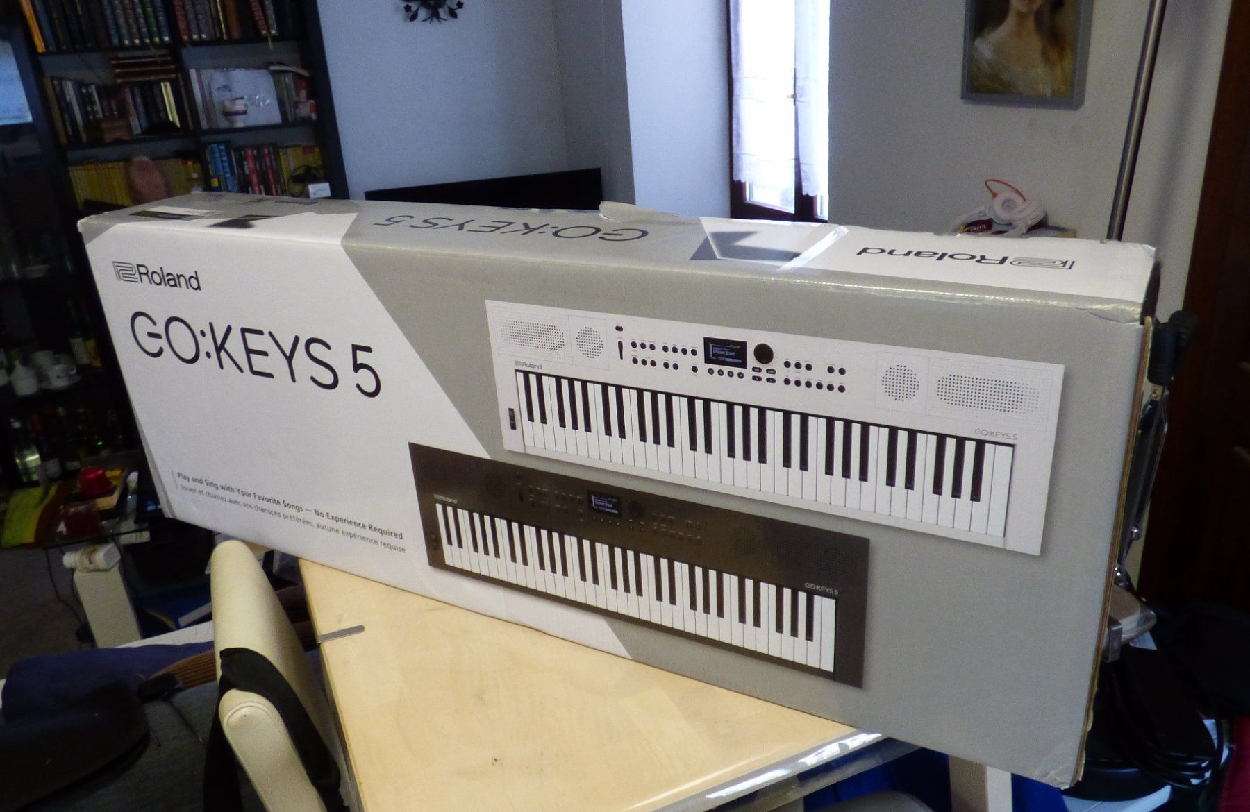 Roland Strumenti musicali: Roland GO:Keys 5 GT – Usato da Curio venduto da FranzBrax 4