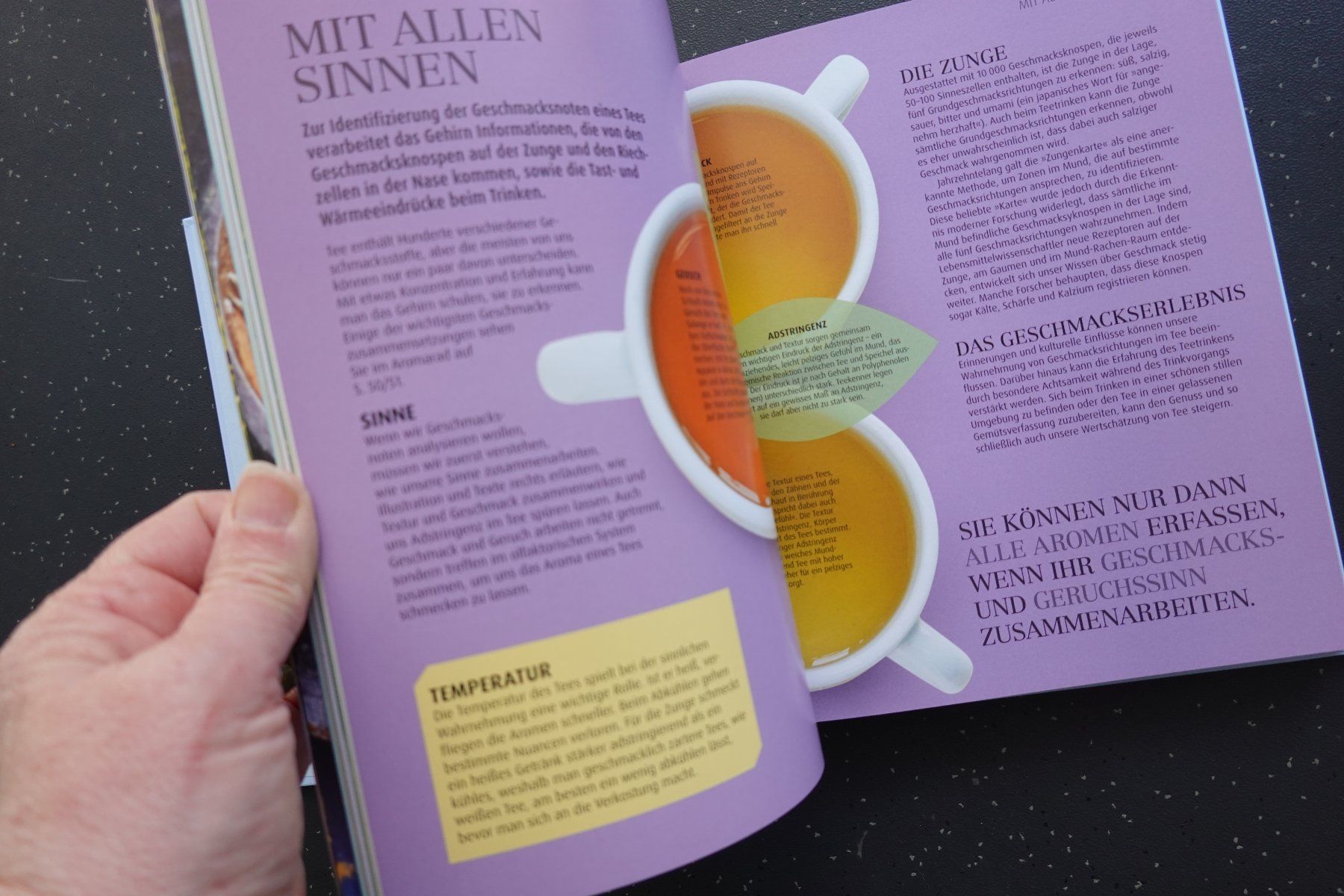 Libri: Das Tee Buch: Sorten, Rituale & Rezepte - DK-Verlag – Usato da Jona venduto da JOberg_25 5