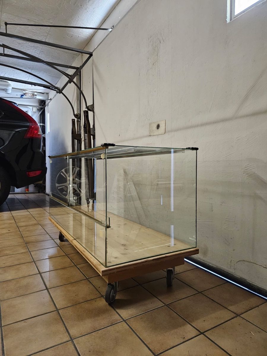 Terrario: Glas-Terrarium für Hamster oder Rennmäuse  – Usato da Wolfhausen venduto da FamB 1