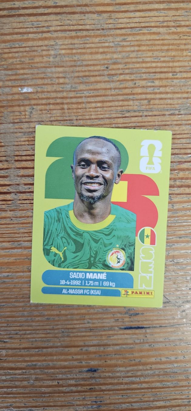 Panini Cartes à collectionner: Fifa World Cup Panini SEN 15 – Neuf avec emballage d'origine à Biel VS par volcom8702