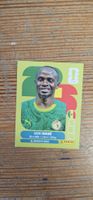 Fifa World Cup Panini SEN 15