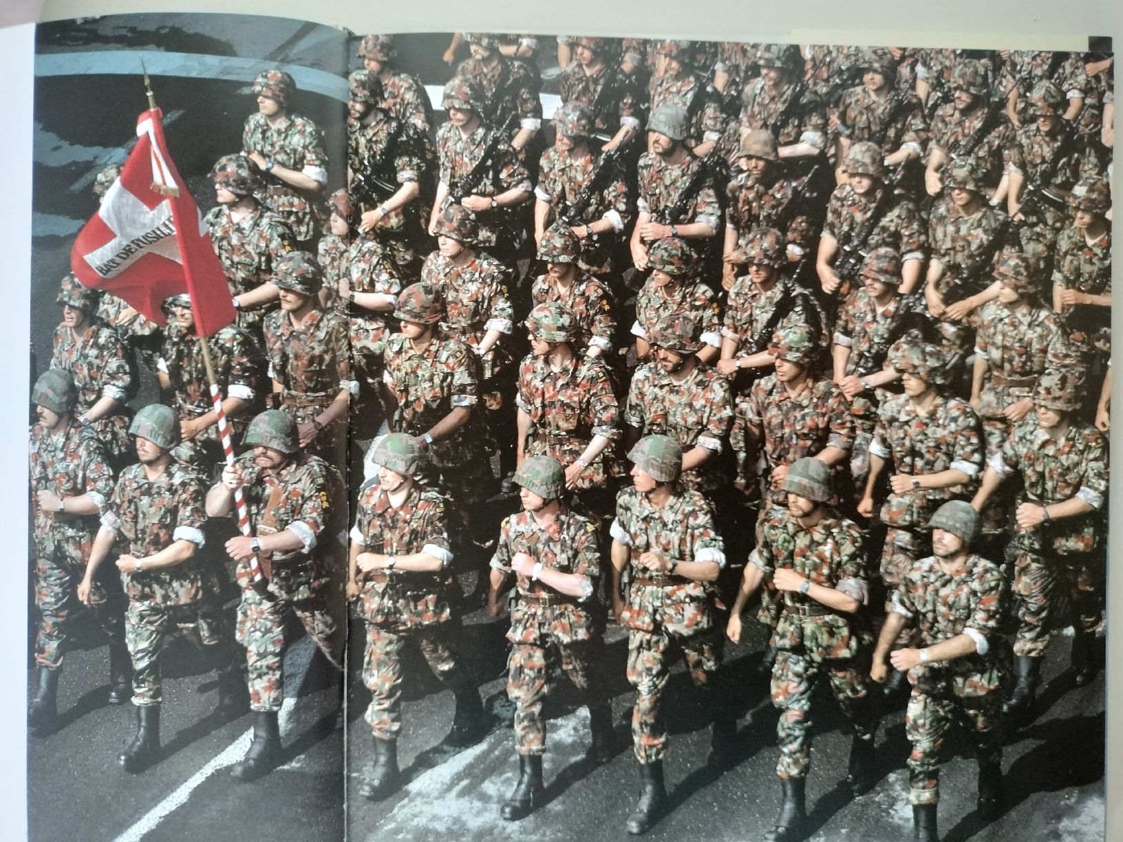 Libri: Schweizer Armee Militär Buch – Usato da Schwanden Sigrisw venduto da cadieux71 1