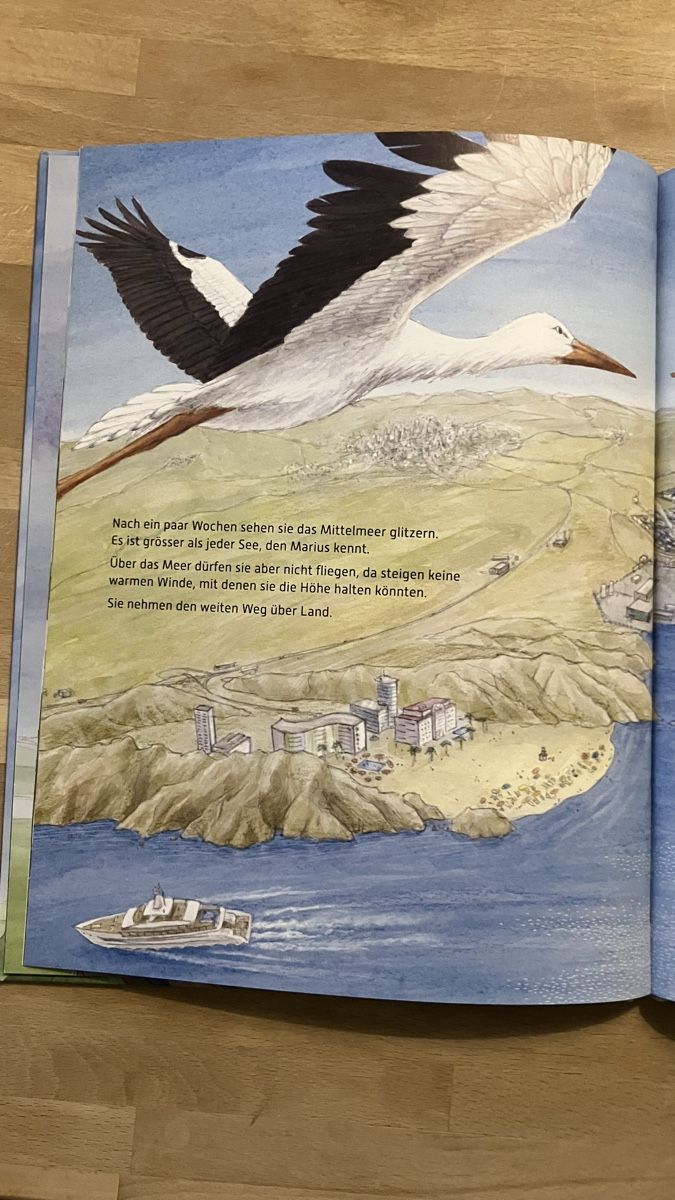 Libri: 3 Kinderbücher/Vorlesebücher – Usato da Wettingen venduto da Vichli 3