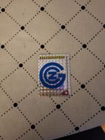 panini football 95 schweiz