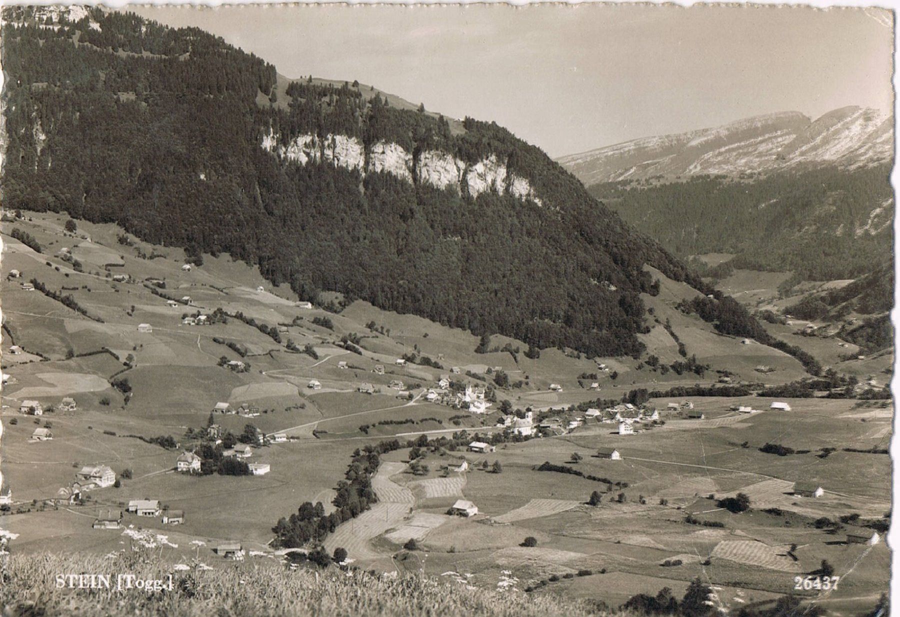 Cartoline postali: STEIN Toggenburg – Usato da Buchs AG venduto da Baerfisch