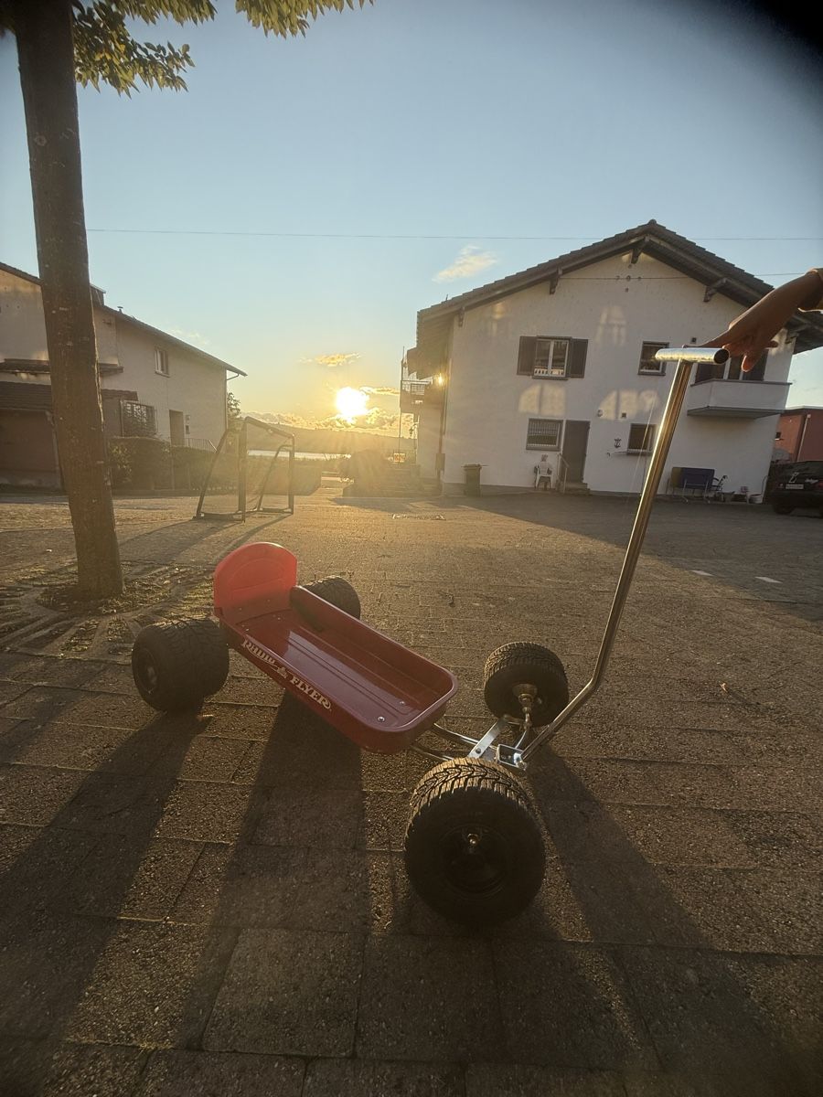 Carrelli di trasporto: Radio Flyer Bollerwagen Custom & Vintage – Usato da Sempach venduto da CU2times 4