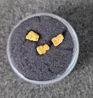 Goldnugget aus Canada