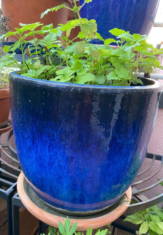 Faszinierend Pflanzkbel Blau Glasiert Eckig Bild