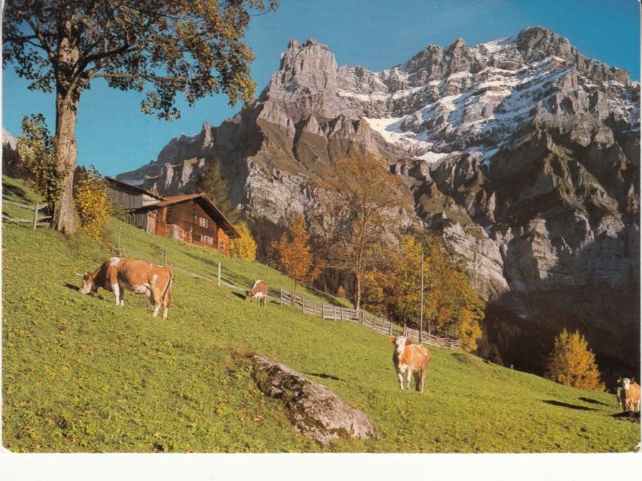 Ansichtskarten: Adelboden 1987 – Gebraucht aus Bürglen TG von StampGraf