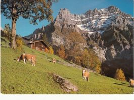 Adelboden 1987