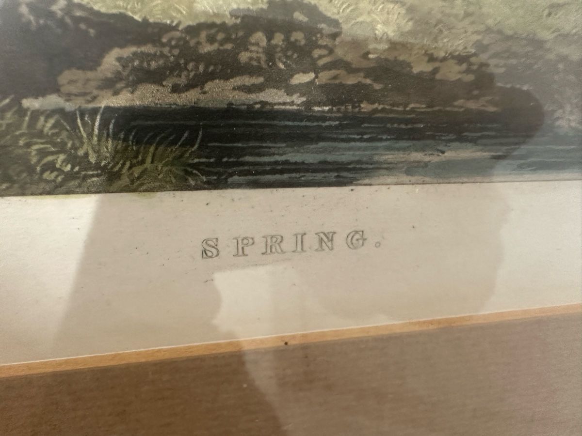 Incisioni: Handkolorierter Stich "Spring" von John Dearman Goldrahmen  – Usato da Ebikon venduto da Gaenggeliwaar 2