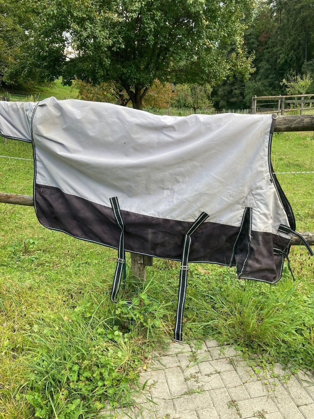 Coperte: Regen-Pferdewinterdecke – Usato da Däniken SO venduto da Sonjab0