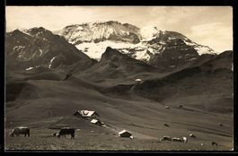 AK Adelboden-Lenk, Hahnenmoos-Pass, Ortsansicht mit Wildstru