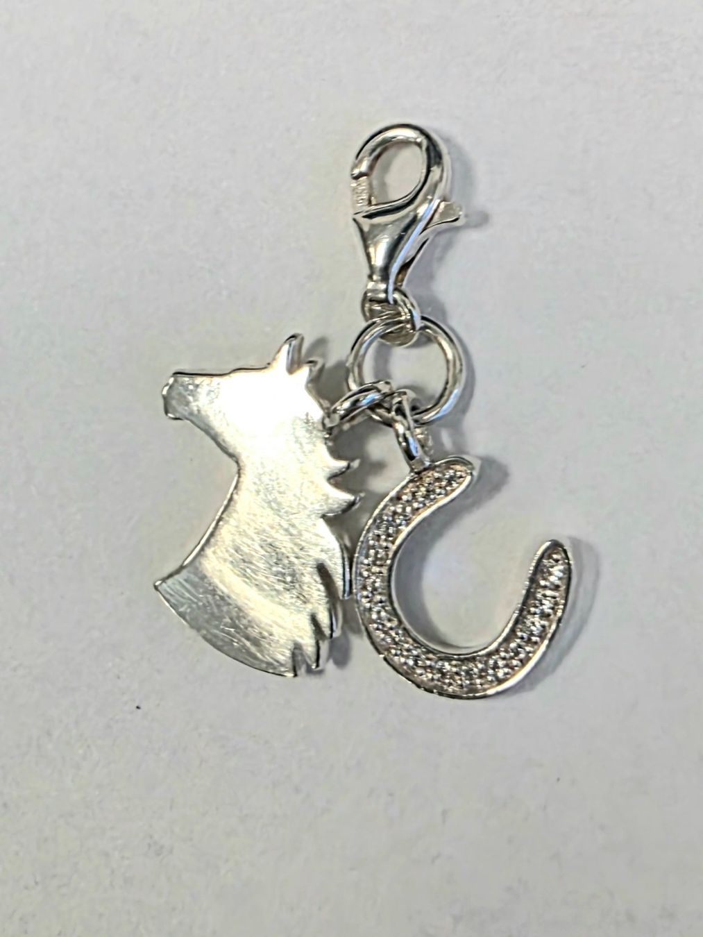 Thomas Sabo Ciondoli: Thomas Sabo Charm Silber 925 – Usato da Madetswil venduto da triforuz 2