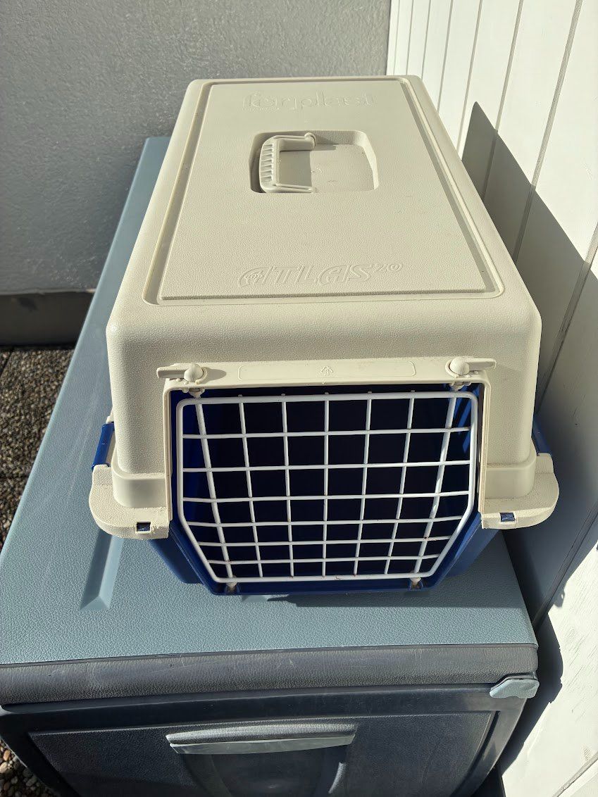 Gabbie, trasporto & Sicurezza: Transportbox/Reisebox für Katze oder kleine Hunde – Usato da Emmenbrücke venduto da cadixchip