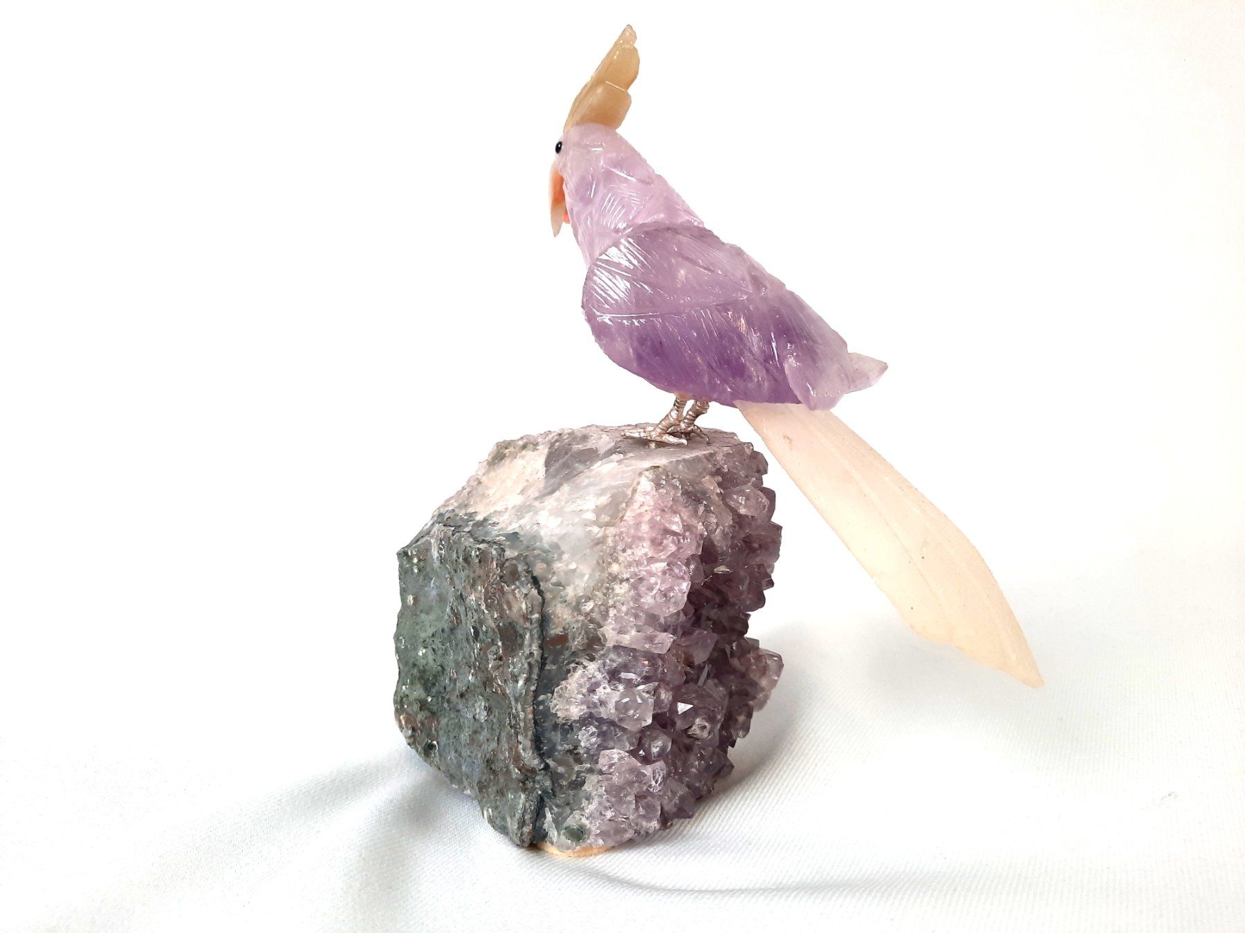 Minerali & Pietre curative: Papagei auf Amethyst – Usato da Beinwil am See venduto da Restwert_Beinwil 3