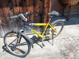 Velo, Fahrrad