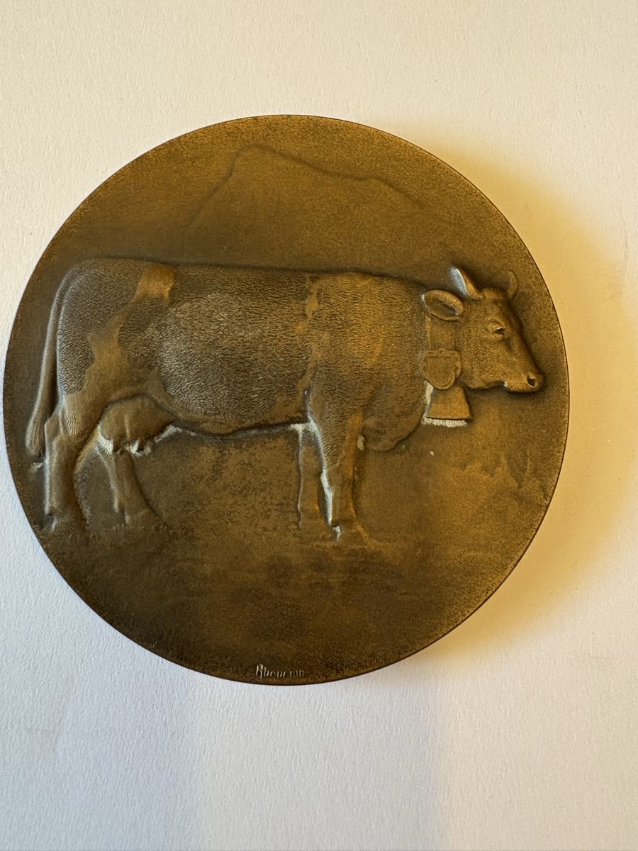 Medaillen: Bronzemedaille 1947 Freiburg  – Gebraucht aus Murten von Tzaugg 5