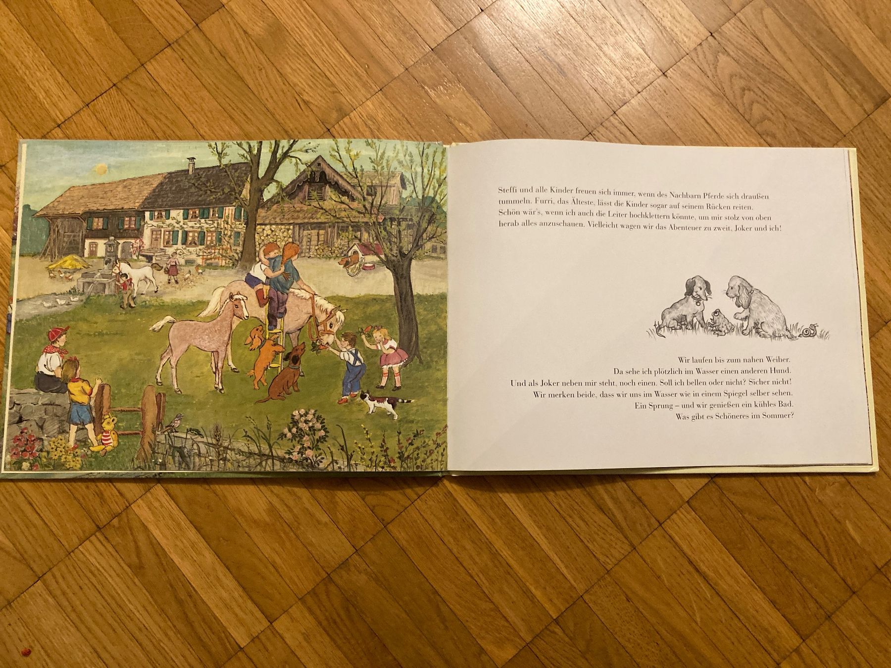 Libri: Jolly's Welt v. Margaret Strub – Nuovo (secondo la descrizione) da Winterthur venduto da Quilterin 2