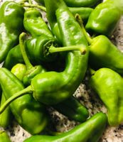 50 SAMEN GRAINES‪ SEMI "Pimiento del Padron"