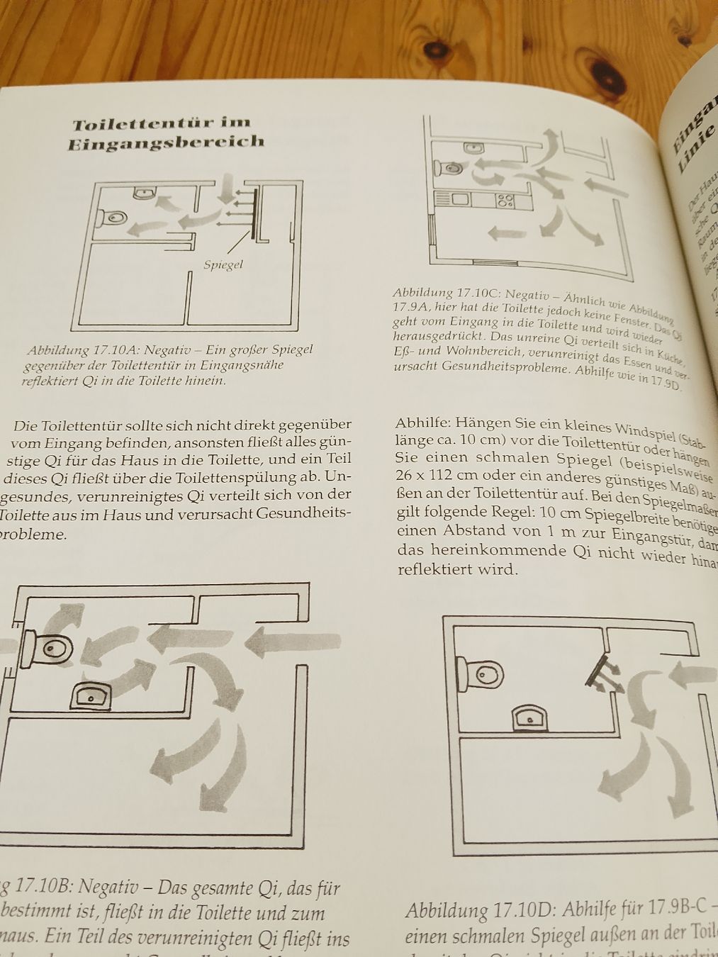 Libri: Fengshui und Gesundheit – Nuovo (secondo la descrizione) da Volken venduto da katz5 4